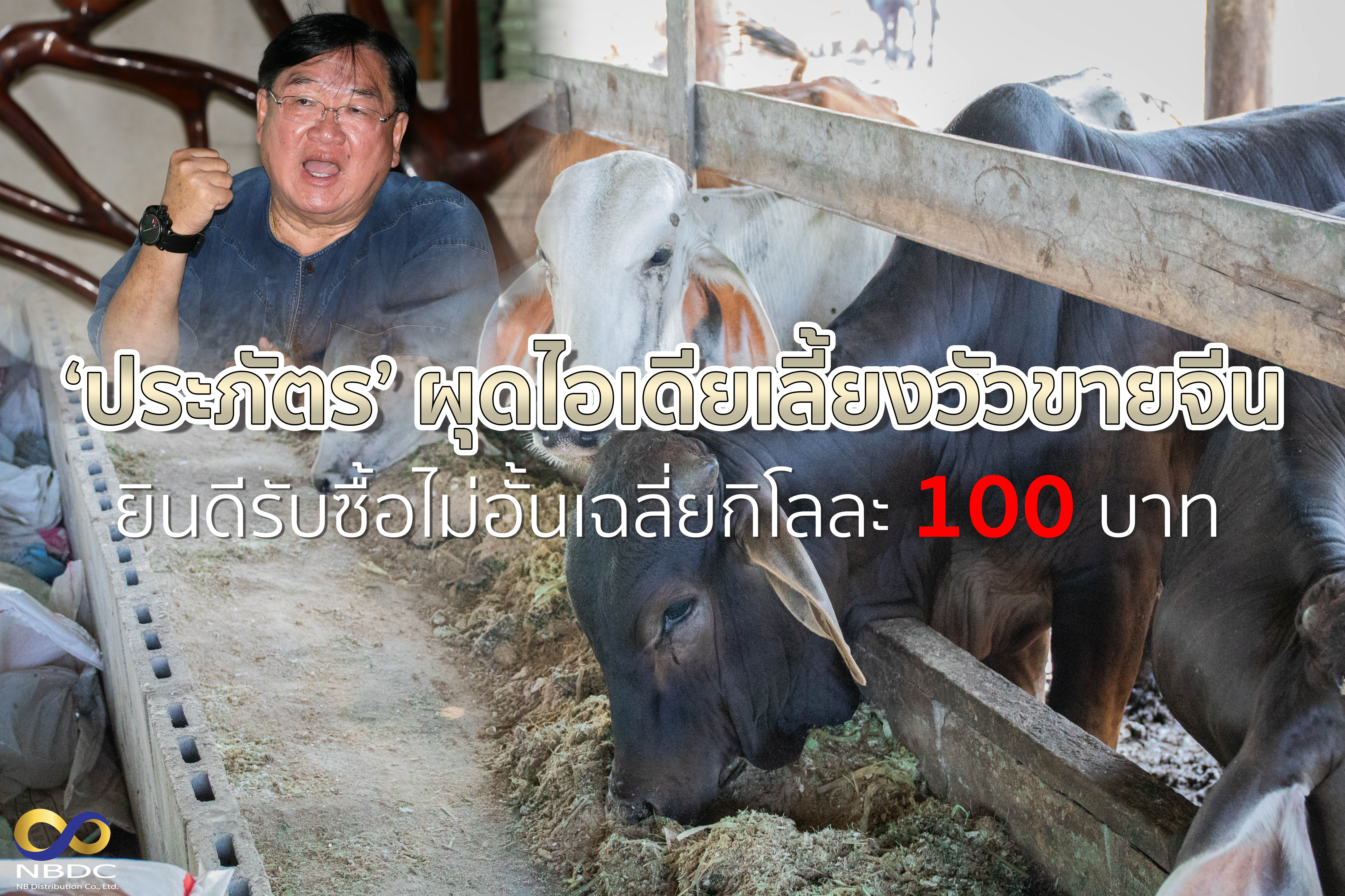 ‘ประภัตร’ ผุดไอเดียเลี้ยงวัวขายจีน – ยินดีรับซื้อไม่อั้นเฉลี่ยกิโลละ 100 บาท