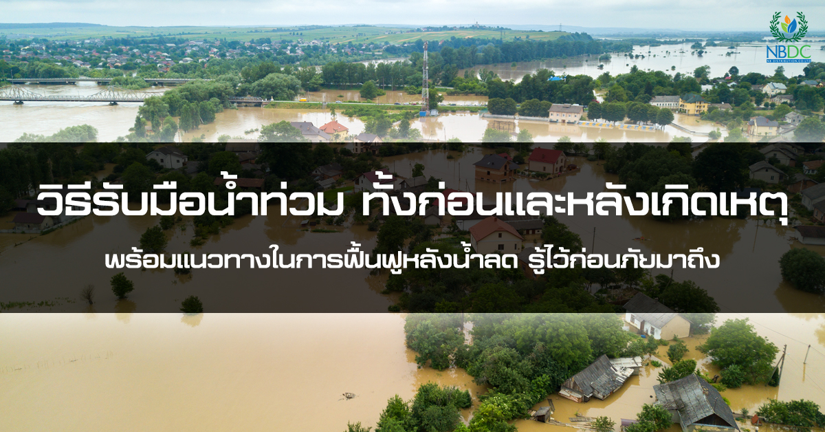 วิธีรับรับมือน้ำท่วม ทั้งก่อนและหลังเกิดเหตุ พร้อมแนวทางในการฟื้นฟูหลังน้ำลด รู้ไว้ก่อนภัยมาถึง!