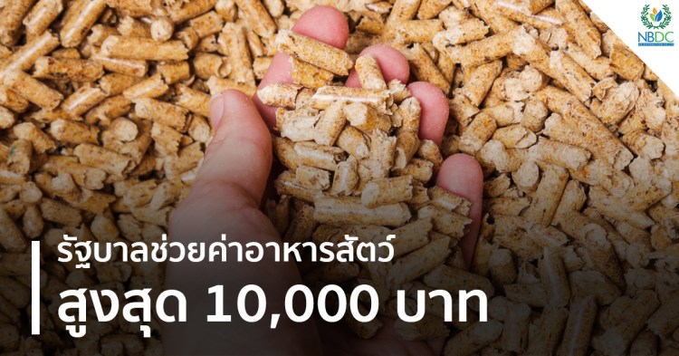รัฐบาล ช่วยผู้เลี้ยงสัตว์ลดภาระ “ค่าอาหารสัตว์” สูงสุดถึง 10,000 บาท